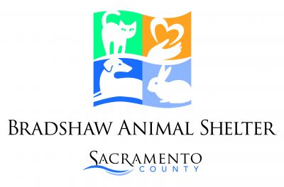 County Animal Control